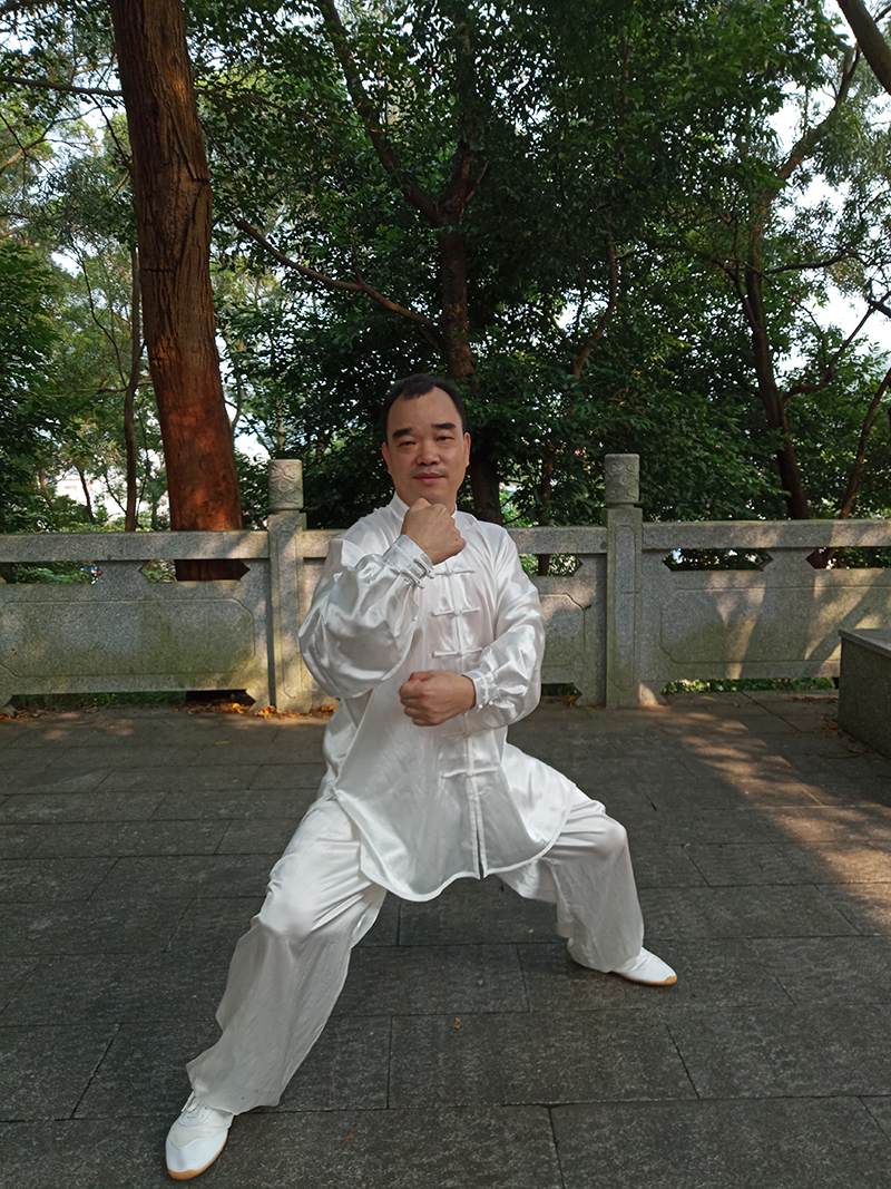 拳照