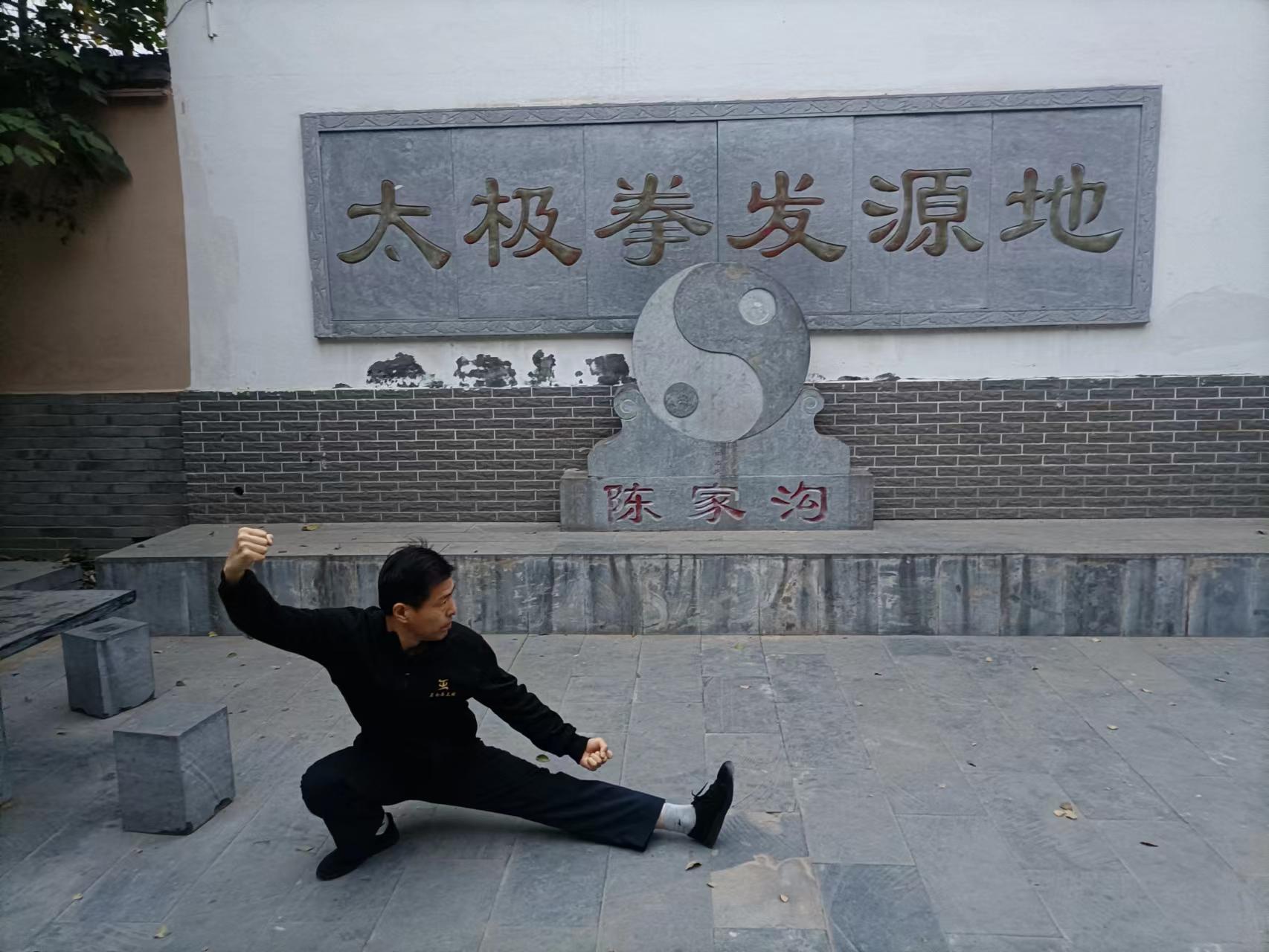 拳照