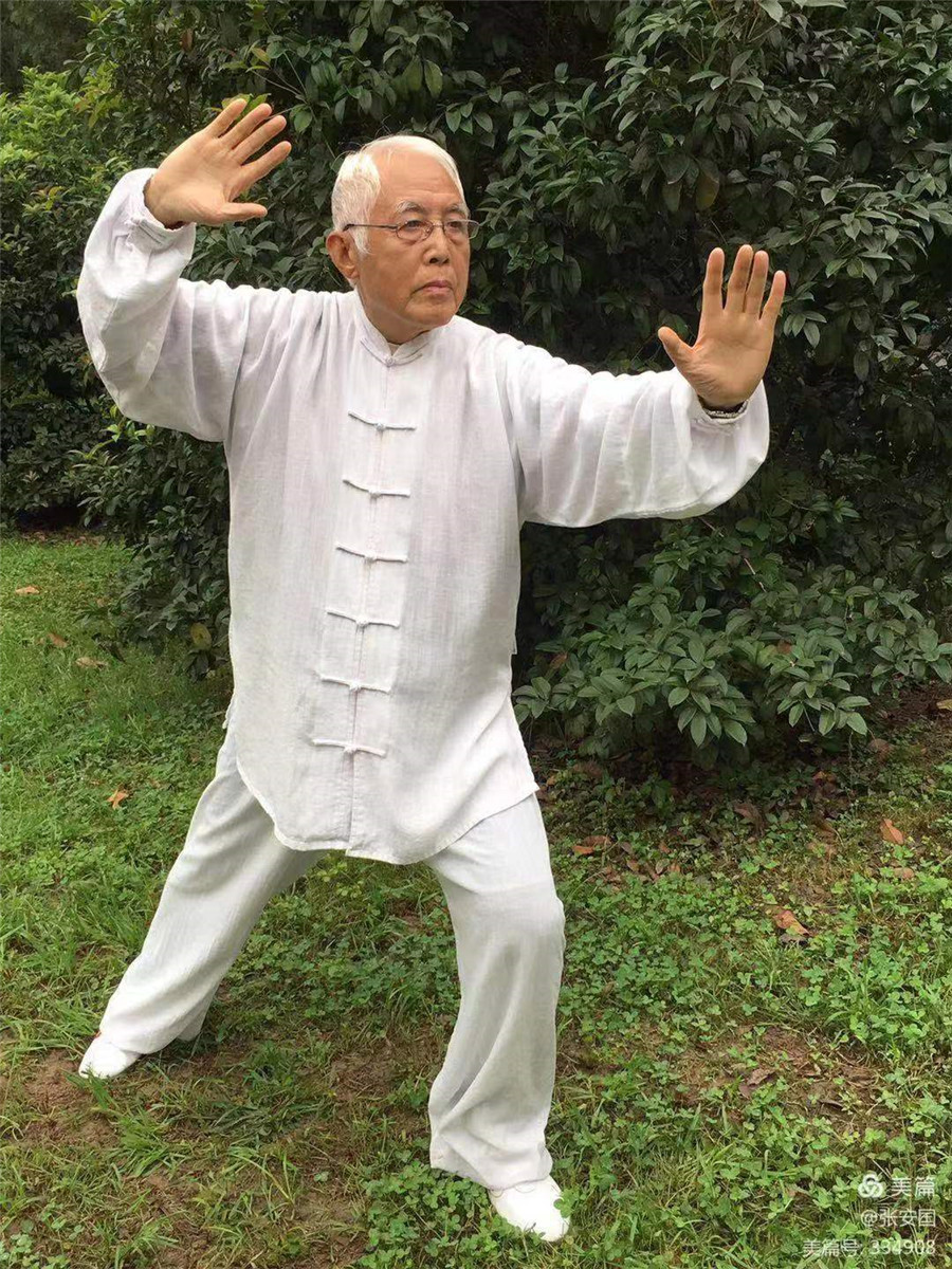 拳照