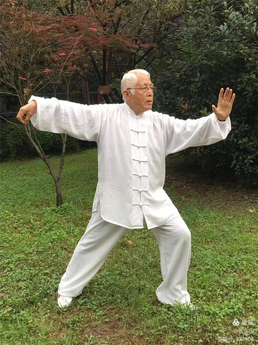 拳照