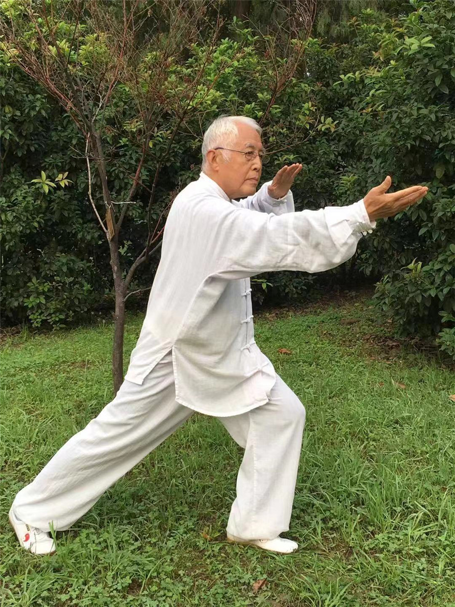 拳照