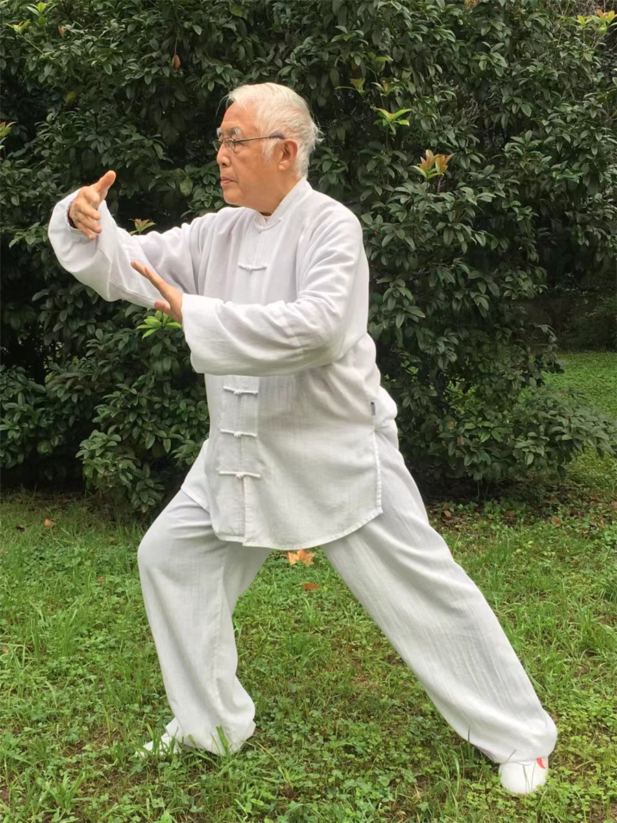 拳照