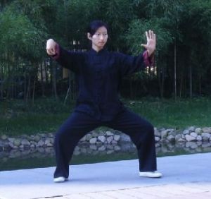 戴陈- 吴式太极拳 - 第6代传人 - 中华太极拳传承网(t